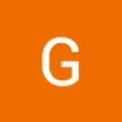 Gabriel VF