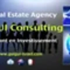 Guigui consulting DAVID GUIGUI