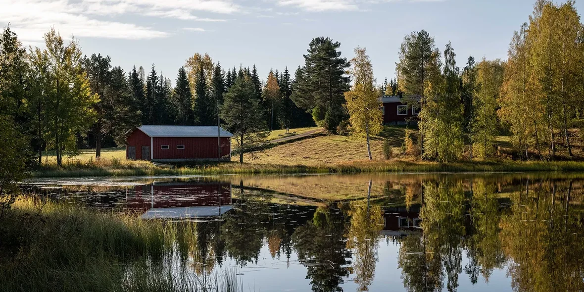 Buying a cheap house and moving to Finland — isn’t it a dream? A selection of cosy houses in the forest