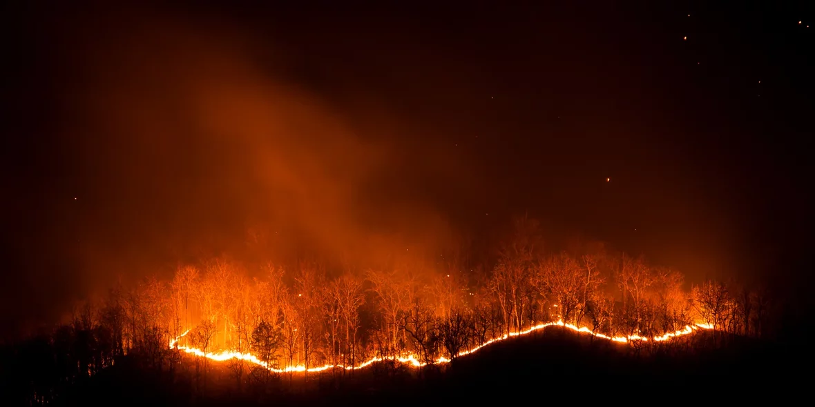 Вид на лесной пожар