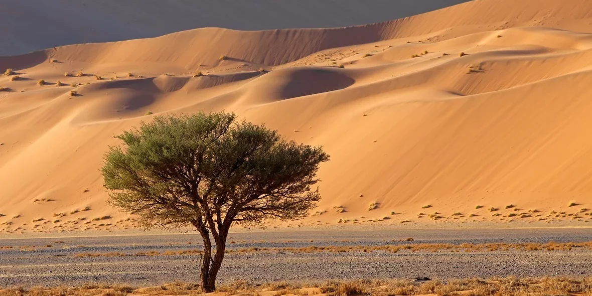 Пустынный пейзаж Намибии