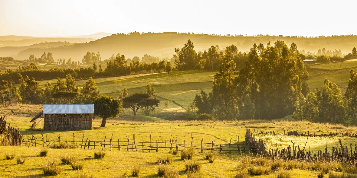 A village in Ethiopia.