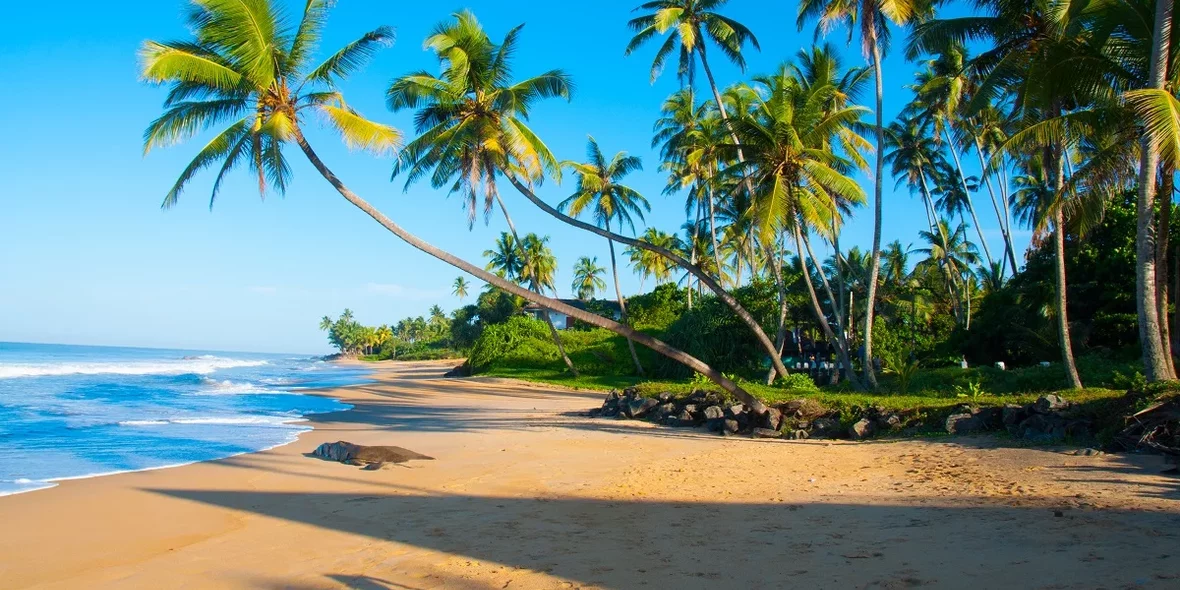 Пляж и океан на Шри-Ланке