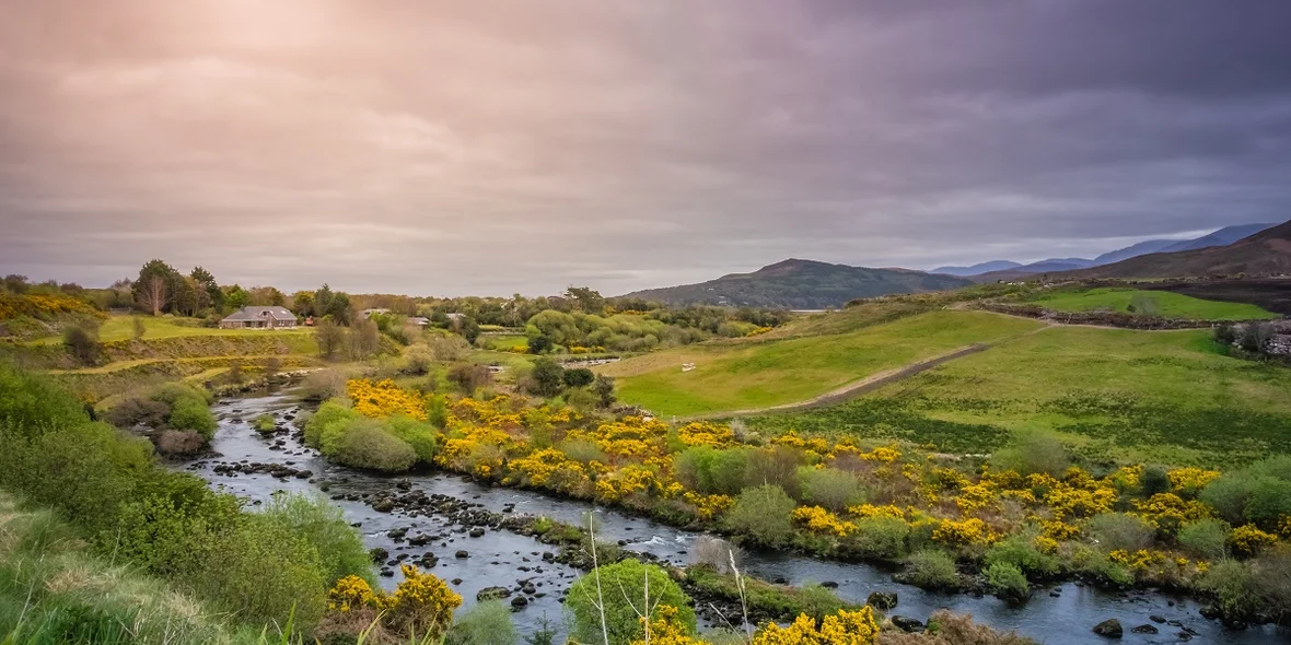 Irish landscape