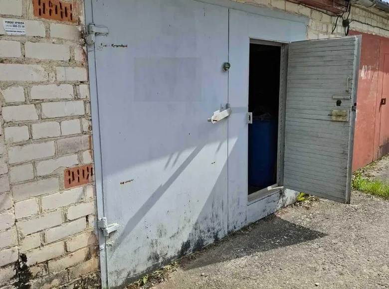 Gewerbefläche 38 m² Nasilava, Belarus