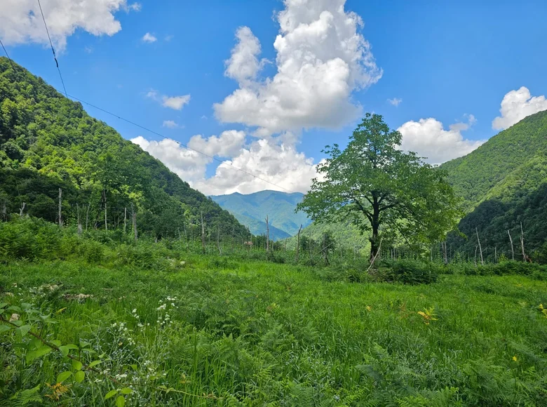 Land  Keda, Georgia