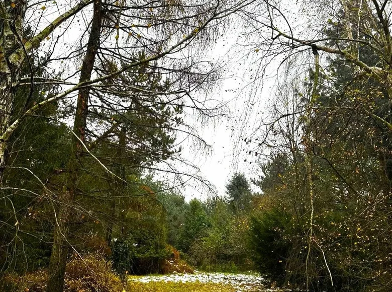 Grundstück 1 Zimmer 3 000 m² Lomianki Dolne, Polen