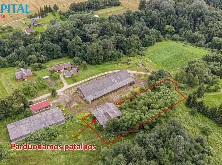 Commercial property 297 m² in Europa, Lithuania