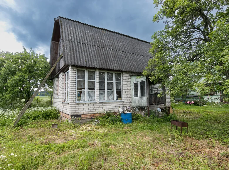 House 38 m² Lasanski sielski Saviet, Belarus