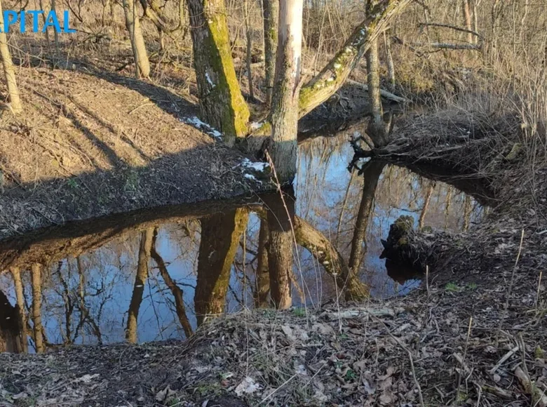 Grundstück  Onikschten, Litauen