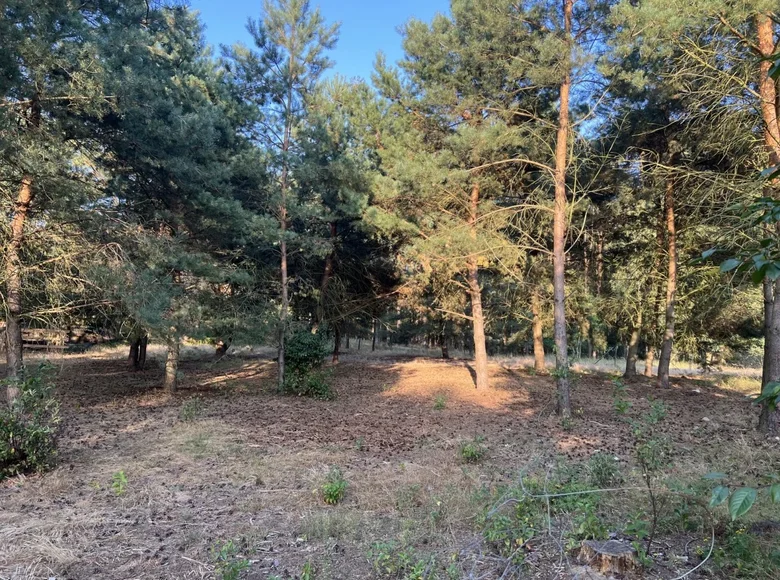 Land 1 312 m² Biedrusko, Poland