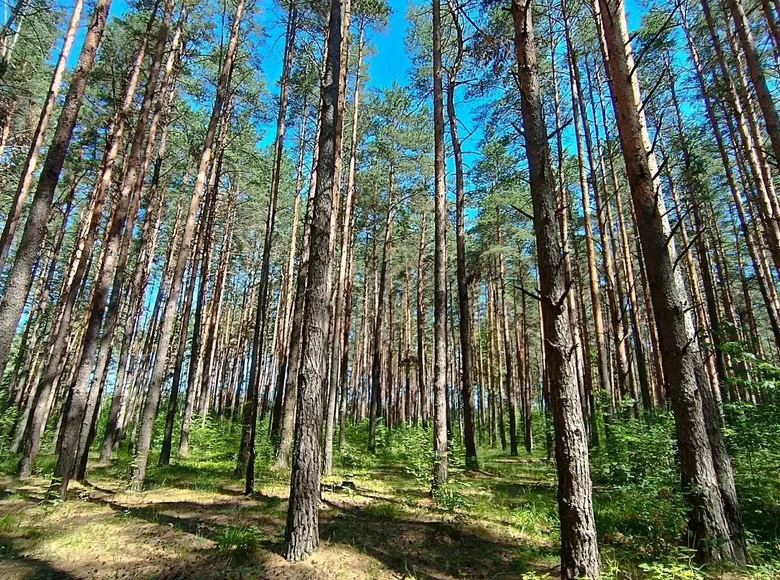 Mieszkanie 3 pokoi 64 m² Sucharukija, Białoruś