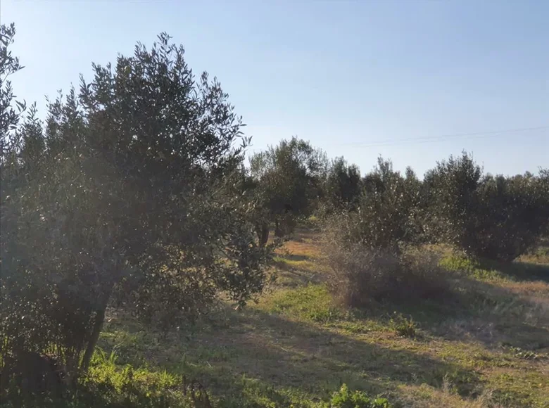 Atterrir 1 chambre  Sozopoli, Grèce