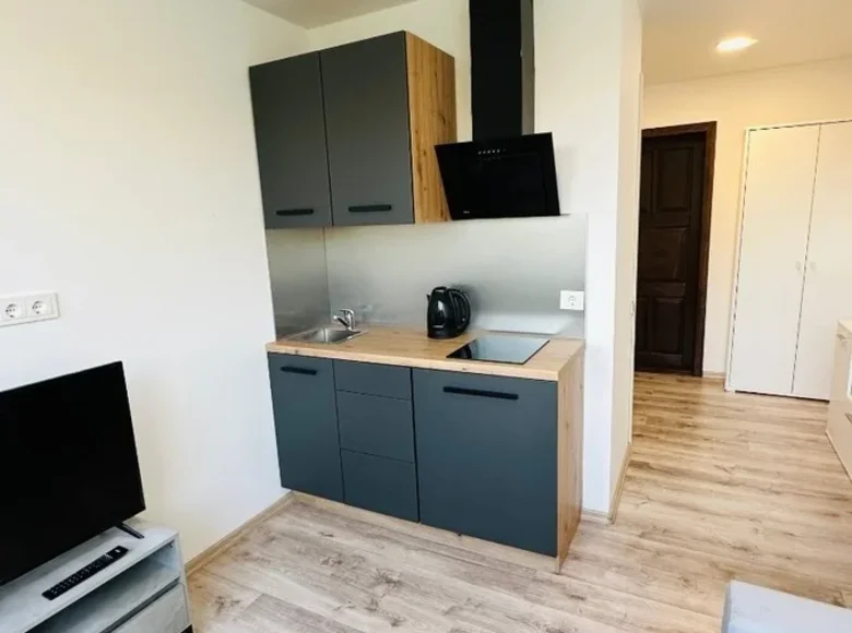 Appartement 1 chambre 16 m² Kaunas, Lituanie