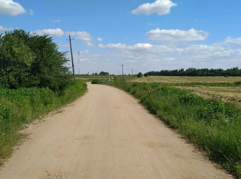 Land  Nieharelski sielski Saviet, Belarus