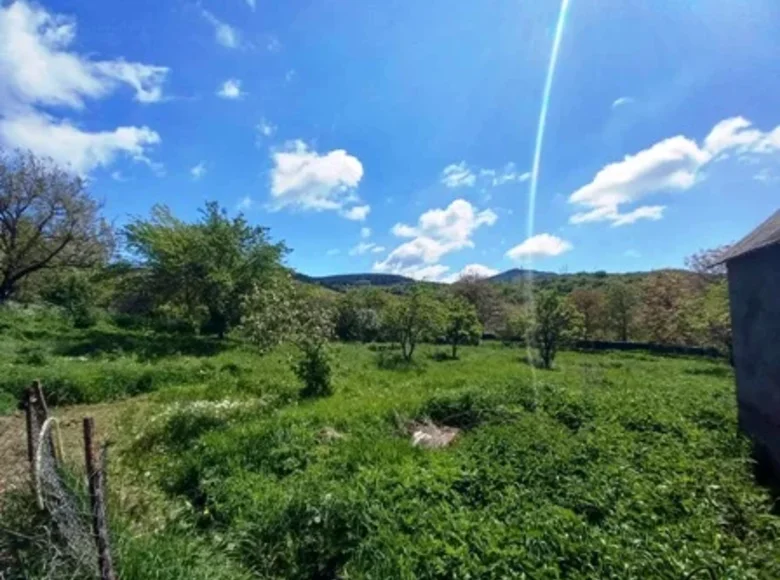 Land  abrameti, Georgia