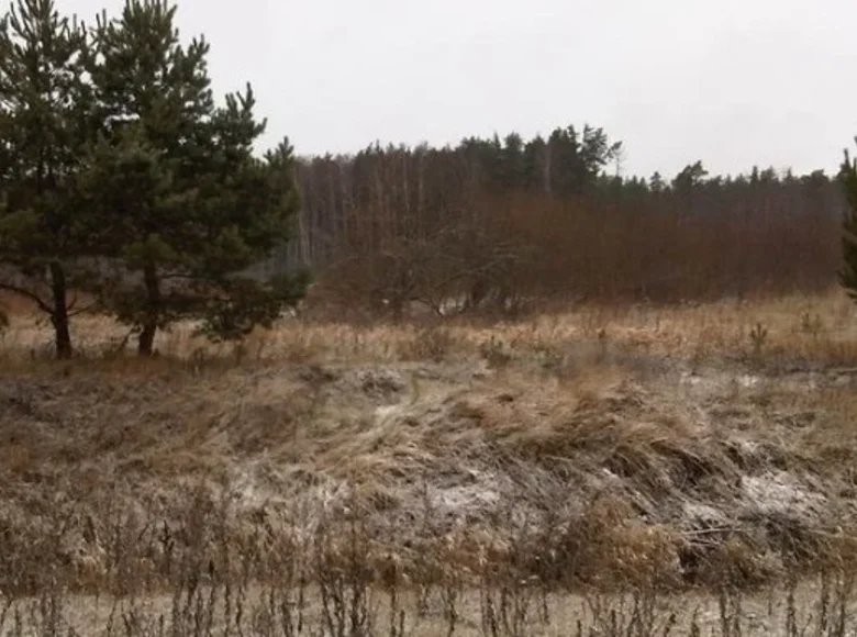 Land 56 000 m² Navapolatsk, Belarus