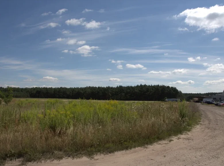 Grundstück 8 336 m² Swierzowa Polska, Polen