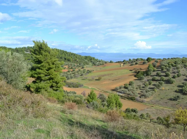 Land 1 room  Paliouri, Greece