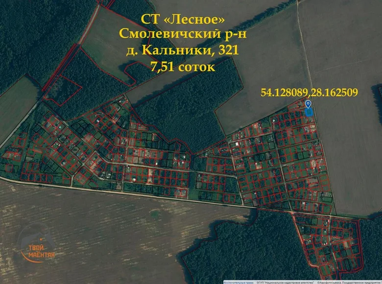 Land  Zodzinski sielski Saviet, Belarus