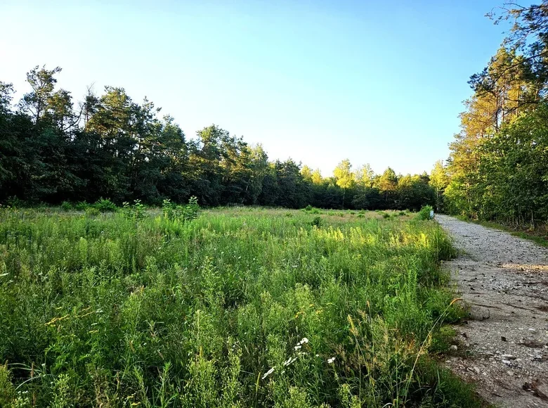 Land 1 000 m² Lodz, Poland