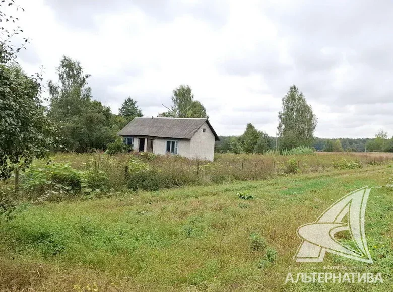 Land  Lieninski sielski Saviet, Belarus