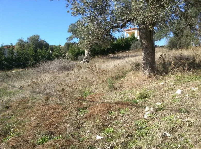 Atterrir 1 chambre  Nikiti, Grèce