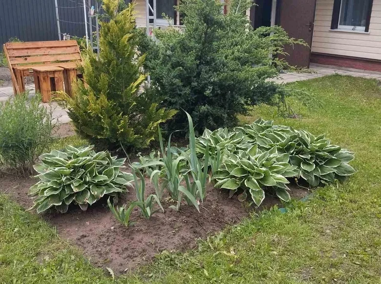 Maison 50 m² Stankauski sielski Saviet, Bélarus