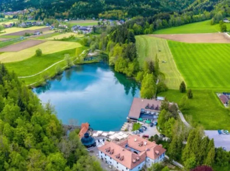 Exclusive Real Estate Opportunity: Historic Property in Slovenia