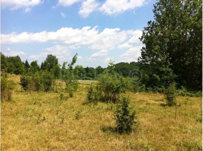 Land 46 735 m² Lipovaca, Croatia