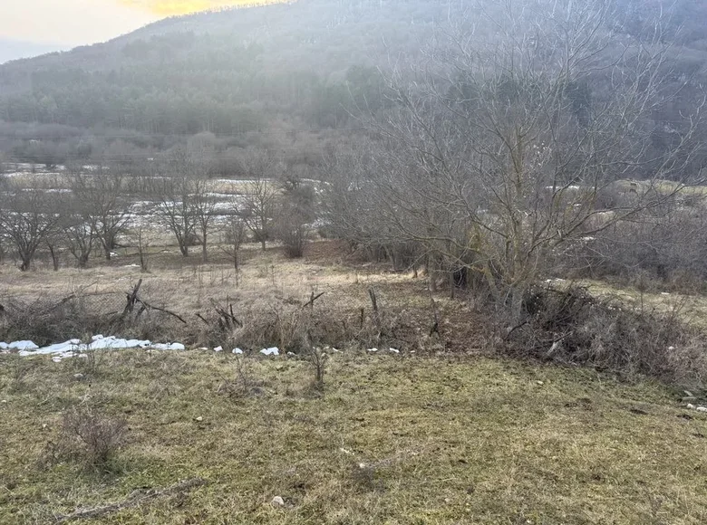 Land  Tianeti Municipality, Georgia