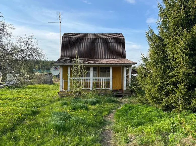 Atterrir  Tosnenskoe gorodskoe poselenie, Russie