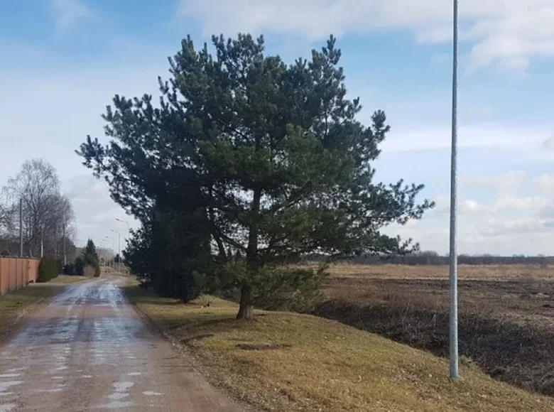 Investment  in Babites pagasts, Latvia