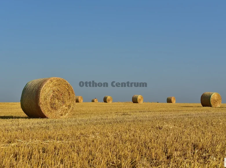 Land 1 090 000 m² Janoshalma, Hungary