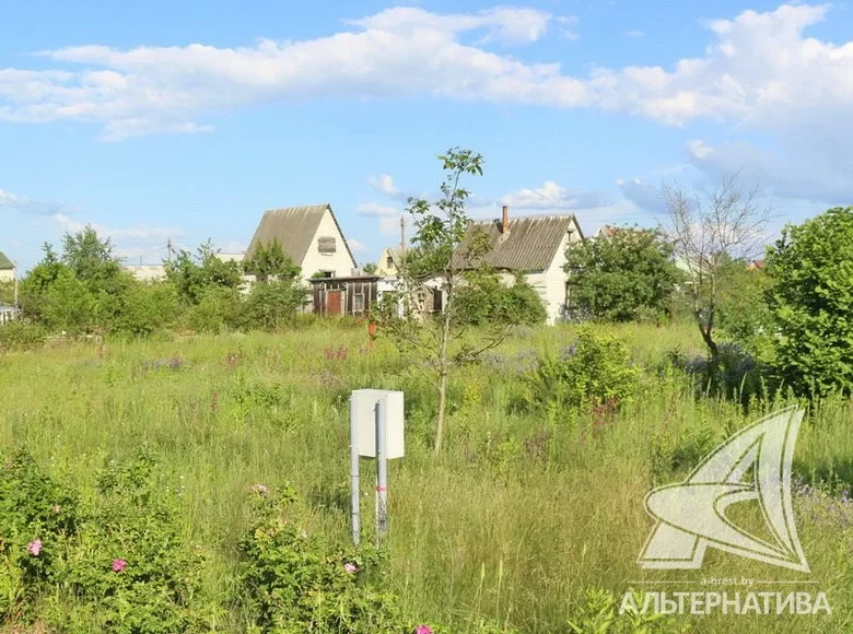 House  Muchaviec, Belarus