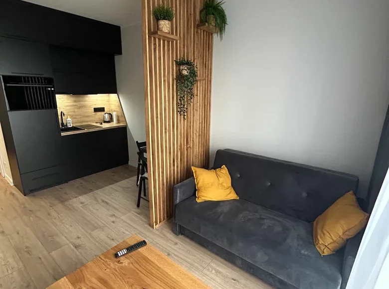 1 room apartment 25 m² in Krakow, Poland