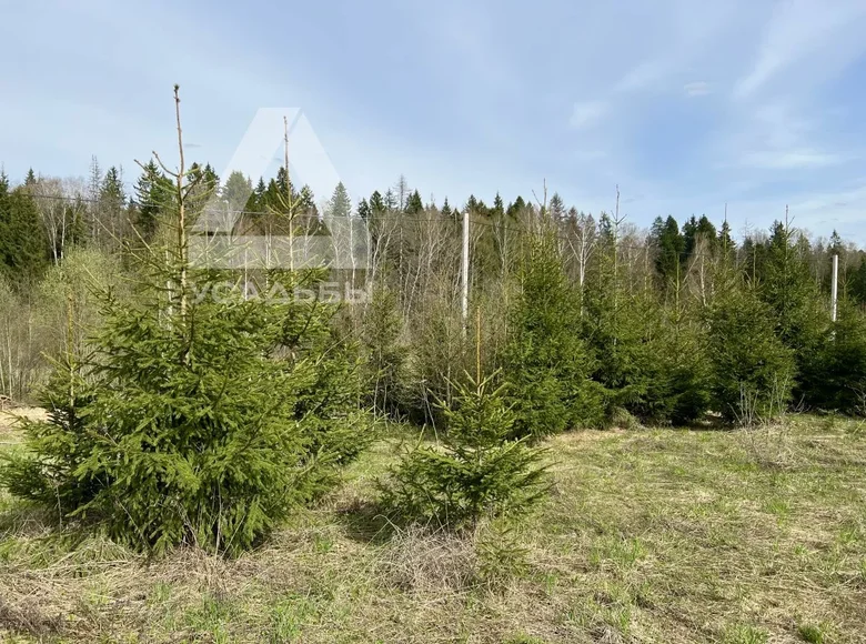 Land  gorodskoy okrug Istra, Russia