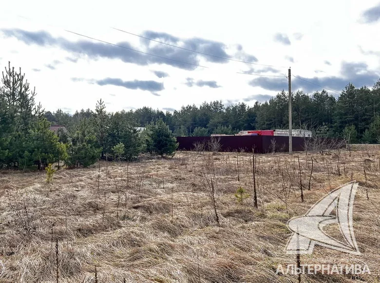 Casa  Muchaviecki siel ski Saviet, Bielorrusia