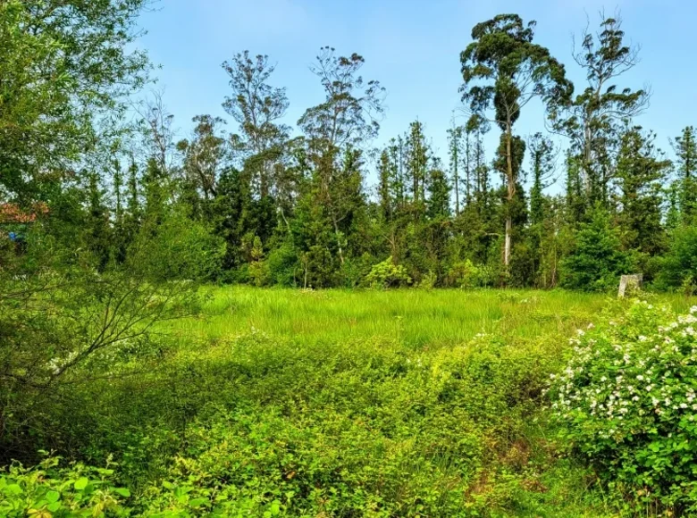 Działki 1 200 m² Village Ozurgeti, Gruzja