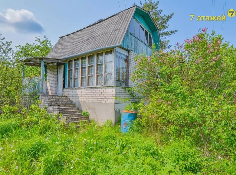Haus 47 m² Lasanski sielski Saviet, Belarus