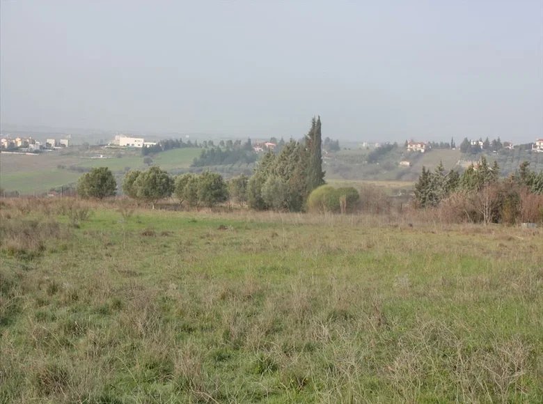 Land 1 room 6 000 m² Anchialos, Greece