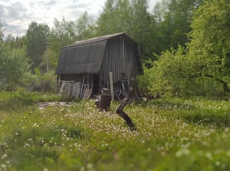 Haus 24 m² Zodzinski sielski Saviet, Weißrussland