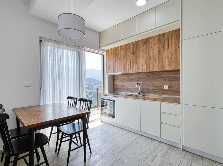 1 bedroom apartment 43 m² Montenegro, Montenegro