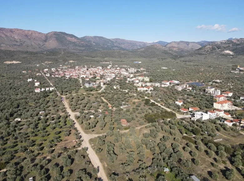 Land  demos thasou, Greece