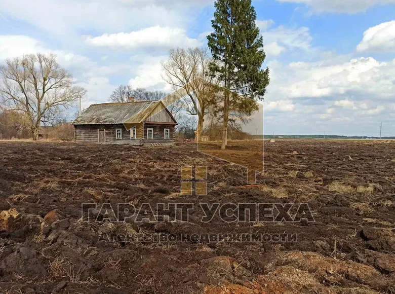 Haus 55 m² Dzivin, Weißrussland