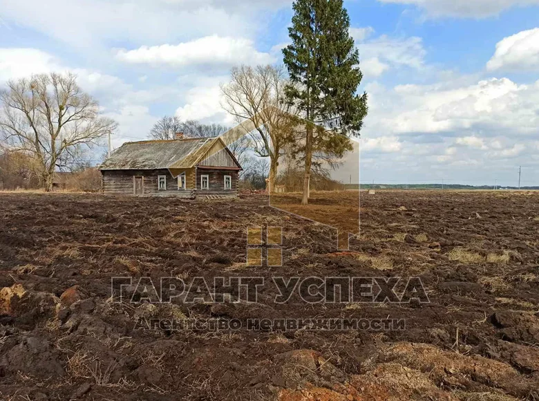 House 55 m² Dzivin, Belarus