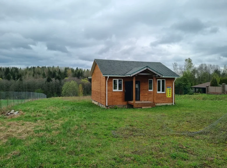 Casa 46 m² Piatryskauski sielski Saviet, Bielorrusia