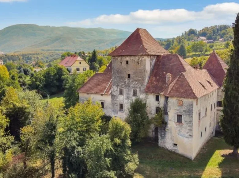 Château 2 229 m² Slovénie, Slovénie