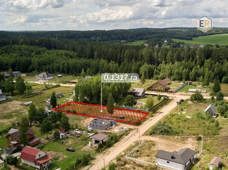 Parcelas  Zdanovicki sielski Saviet, Belarús