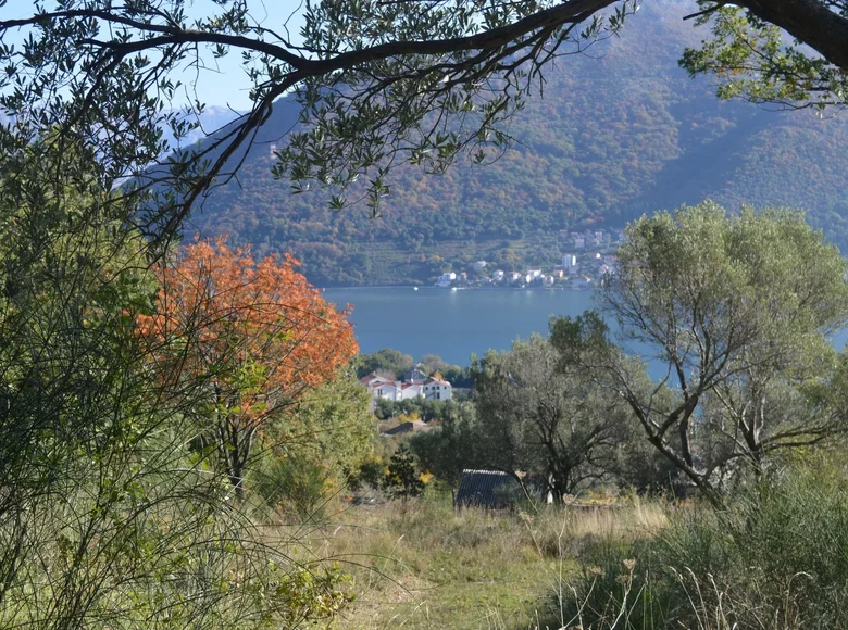 Grundstück 9 000 m² durici, Montenegro